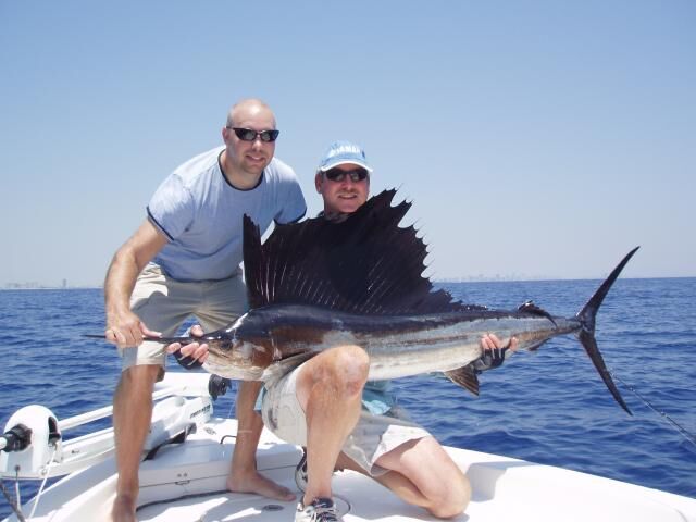 sailfish.jpeg